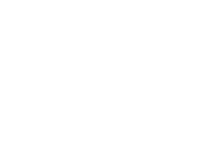 Global Captia