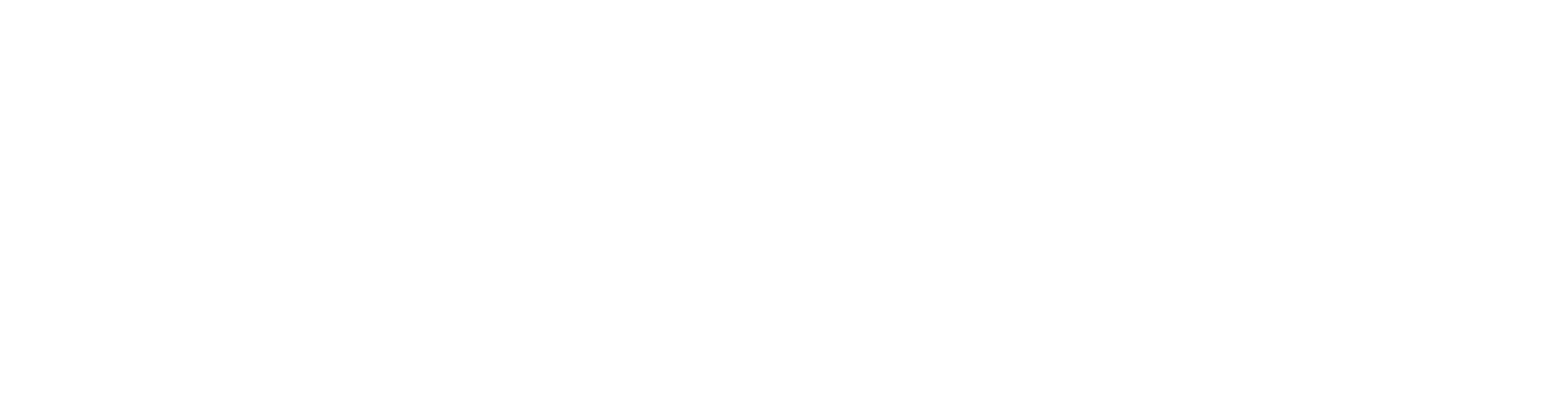 Global Captia