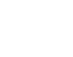 Lead Distro AI