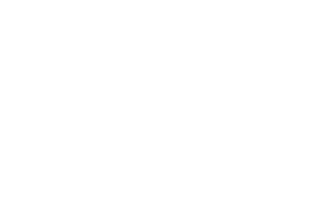 Meta